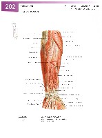 Sobotta Atlas of Human Anatomy  Head,Neck,Upper Limb Volume1 2006, page 209